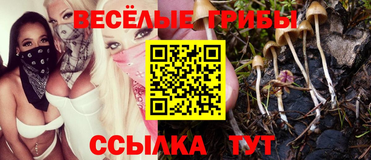 Галлюциногенные грибы ЛСД Казань